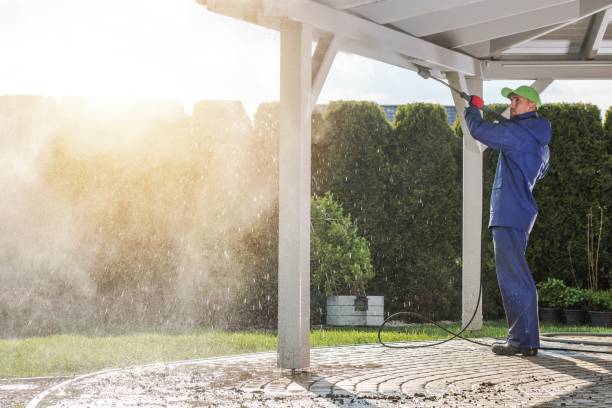 Best Roof Washing  in Lake Wildwood, CA
