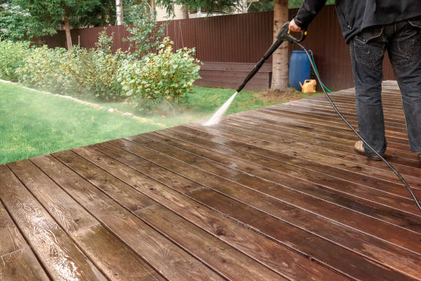 Best Animal Enclosure Cleaning  in Lake Wildwood, CA