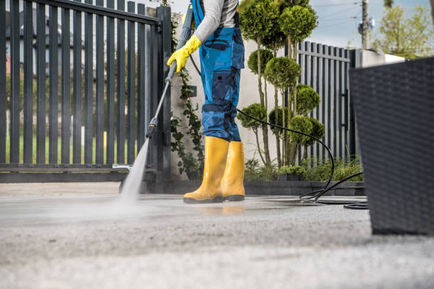 Best Soft Washing  in Lake Wildwood, CA