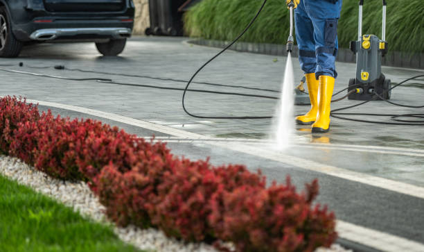 Animal Enclosure Cleaning in Lake Wildwood, CA